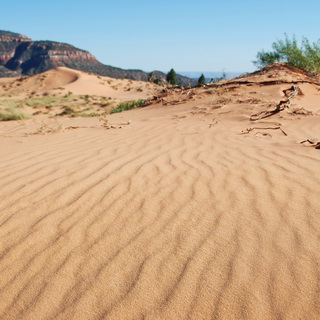 Coral Pink Sand Dunes
